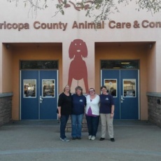 Lost Dogs Arizona, Mission Reunite, and Maricopa County Animal Shelter Team Up on Return To Owner Efforts