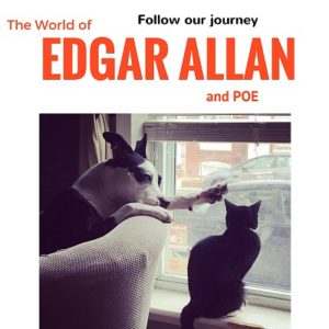 Follow edgar allan poe