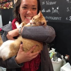 The Pawsitive Trend of Cat Cafes and “Mew” Partnerships