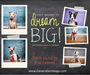 Outsidethebreed - GenerationWags.com