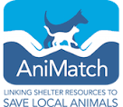 AniMatch, MA: Smart Networking to Connect Pets with “Furever” Homes