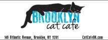 brooklyncatcafe