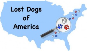 lostdogsofamerica