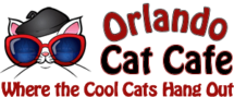 orlando cat cafe