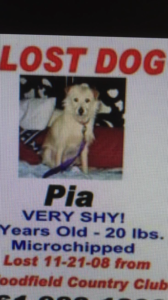 pia-lost-dog-flyer