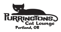 purringtoncatlounge