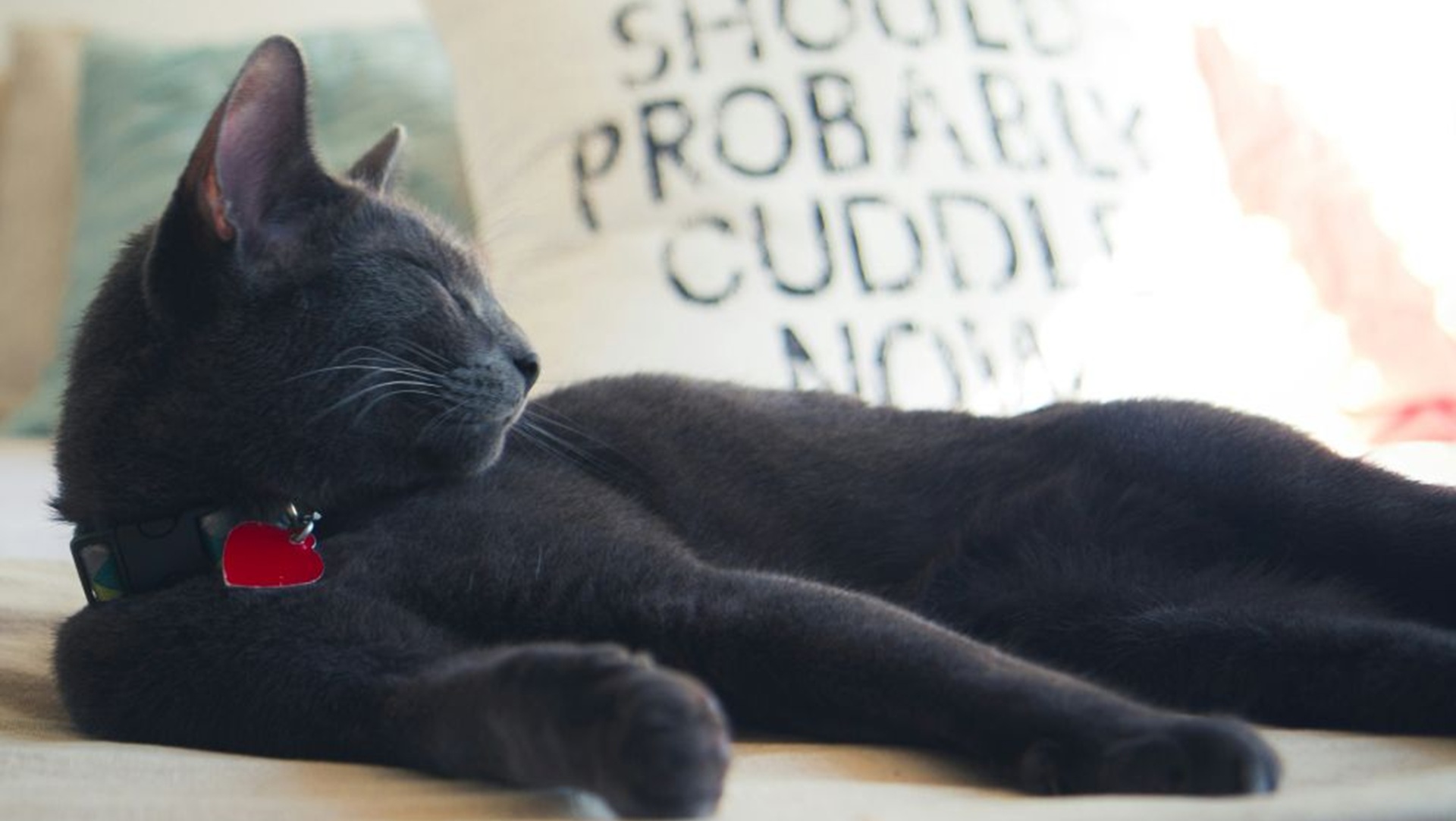 Safe and not a statistic