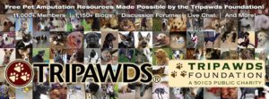 tripawdsfoundation